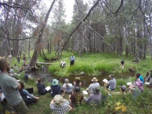 Tools in Fluvial Geomorphology, cross sections at Sagehen Creek