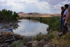 Restoration on the Truckee River (Mimica 2015)